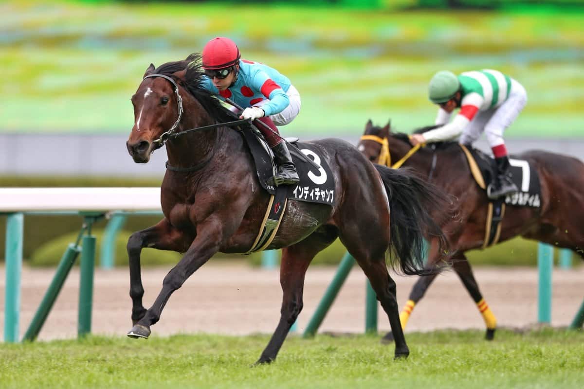 競馬詐欺と返金方法