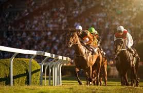 まとめ 相談 競馬