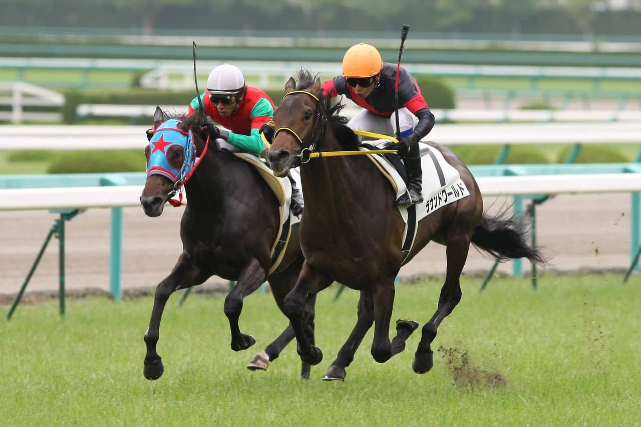 競馬詐欺 手口 パターン