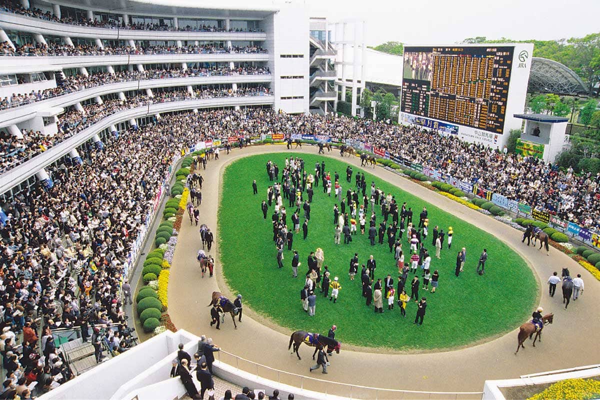 競馬場やWINSで直接騙す