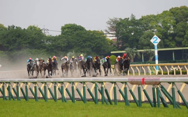 競馬詐欺 行政書士