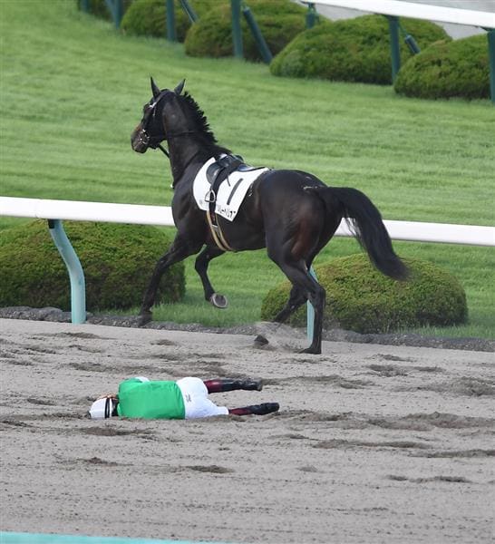 競馬予想サイト 信用