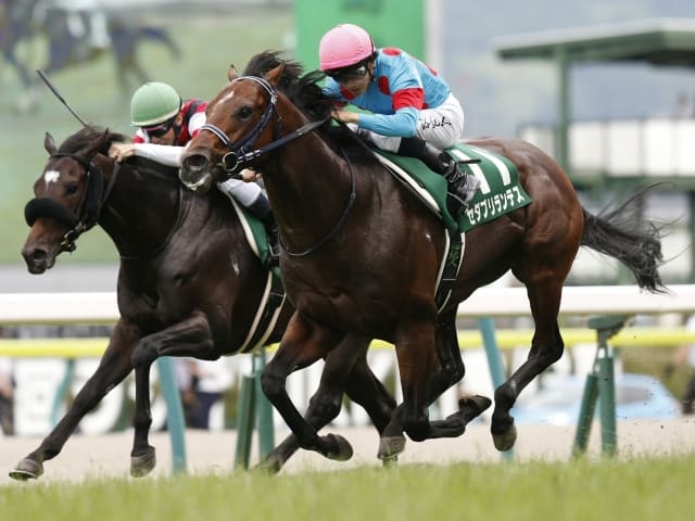 競馬予想サイト　的中率