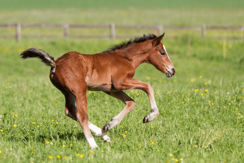 口コミ 競馬予想サイト