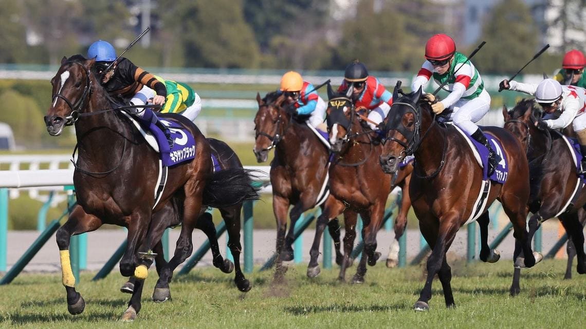 完全なるずぶの素人状態で競馬や競輪を始めても