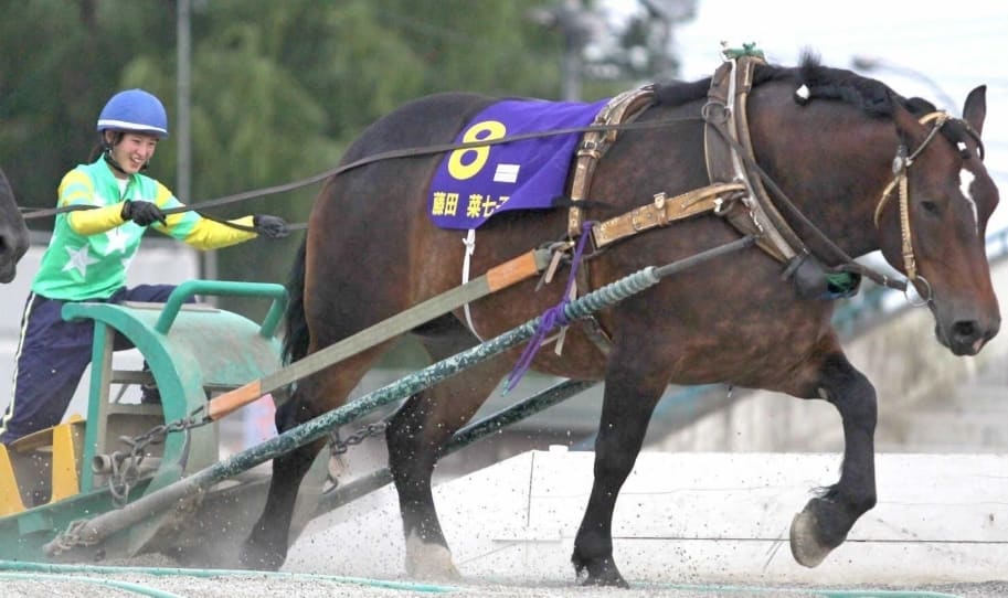 帯広 ばんえい 競馬 予想