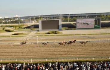 船橋競馬場 予想 コツ2