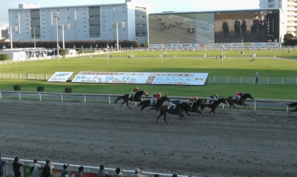 川崎 競馬 特徴