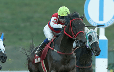 川崎 競馬 特徴