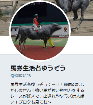 競馬予想サイト 馬券生活者ゆうぞう競馬予想 は人気ブログランキング上位の実力のあるブログ 競馬予想サイトの9割は詐欺サイト