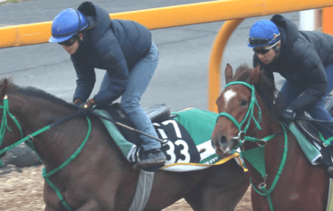 初心者でもオススメ 競馬予想で使える調教タイムの見方と予想方法を紹介 競馬予想サイトの9割は詐欺サイト