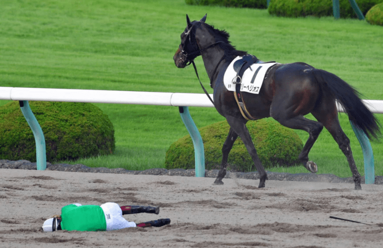 すべての花の画像 ラブリー馬刺し 競走 馬 すべての花の画像 ラブリー馬刺し 競走 馬