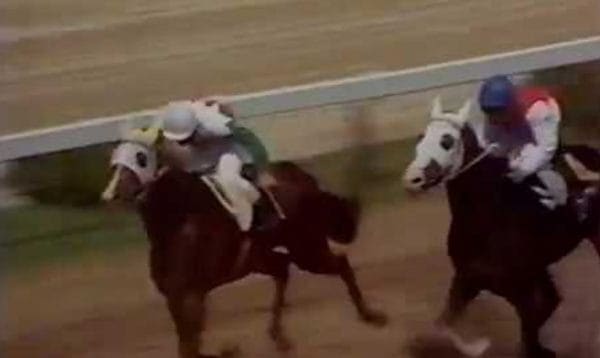 競走馬 馬肉