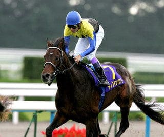 競走馬 ディープインパクト 死