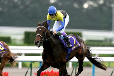 競走馬 ディープインパクト 死