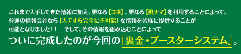 競馬予想サイト 金馬券