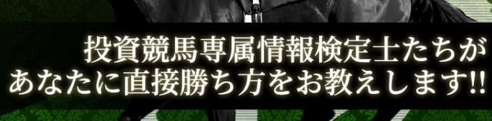 競馬予想サイト　ステイヤー　投資競馬専属情報検定士