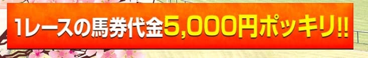 競馬予想サイト　令和ケイバ　1レース5000円