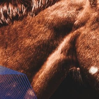 競馬予想サイト NN競馬会