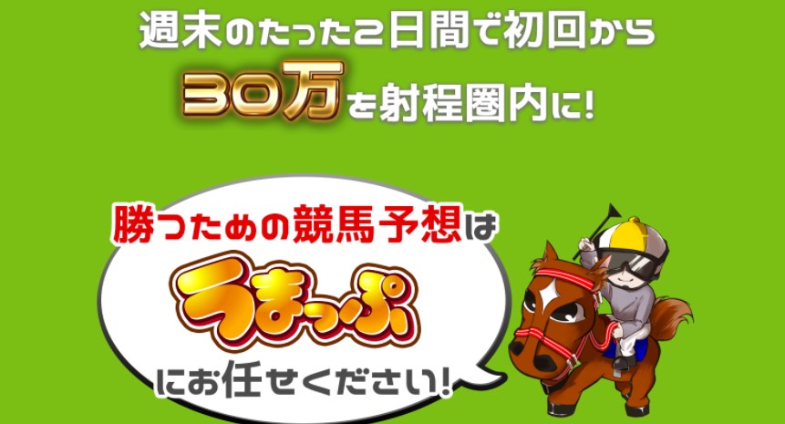 １レースたった5,000円の馬券代で精度の高い予想