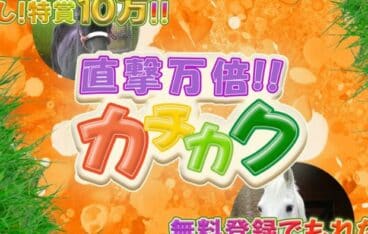 直撃万倍カチカクは穴狙いで帯封が連発する優良競馬予想サイト！口コミ・評判・評価を検証