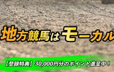 競馬予想サイト「モーカル」は地方競馬に特化した優良競馬予想サイト！口コミ・評判・評価を検証