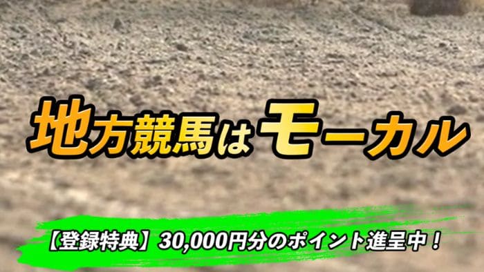 競馬予想サイト「モーカル」は地方競馬に特化した優良競馬予想サイト！口コミ・評判・評価を検証